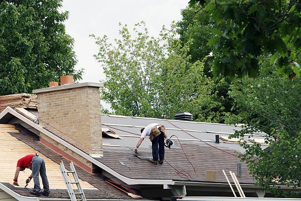 Best Roof Gutter Cleaning  in Kure Beach, NC